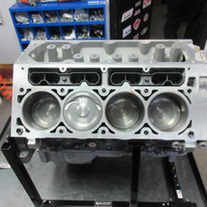 LS 416CI Complete Short Block